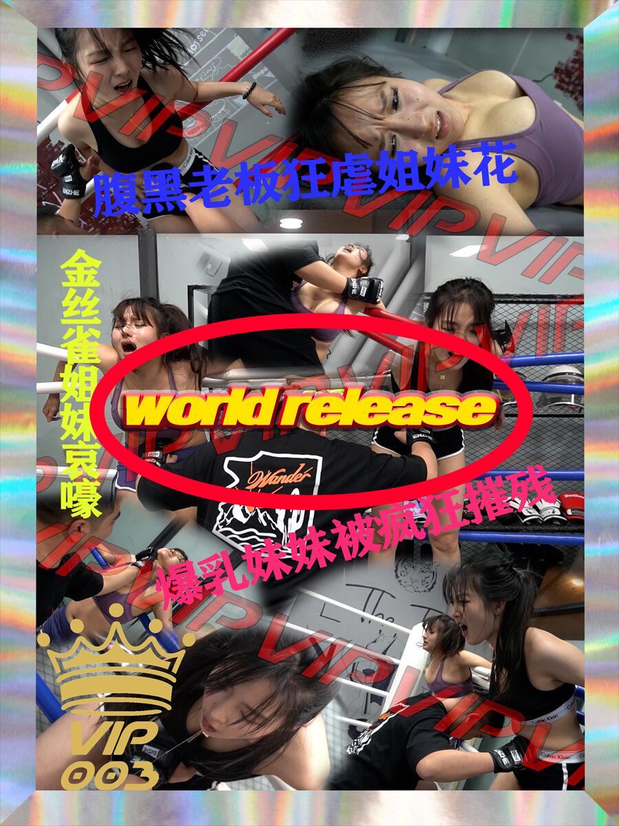VIP-003(此版本是录屏）